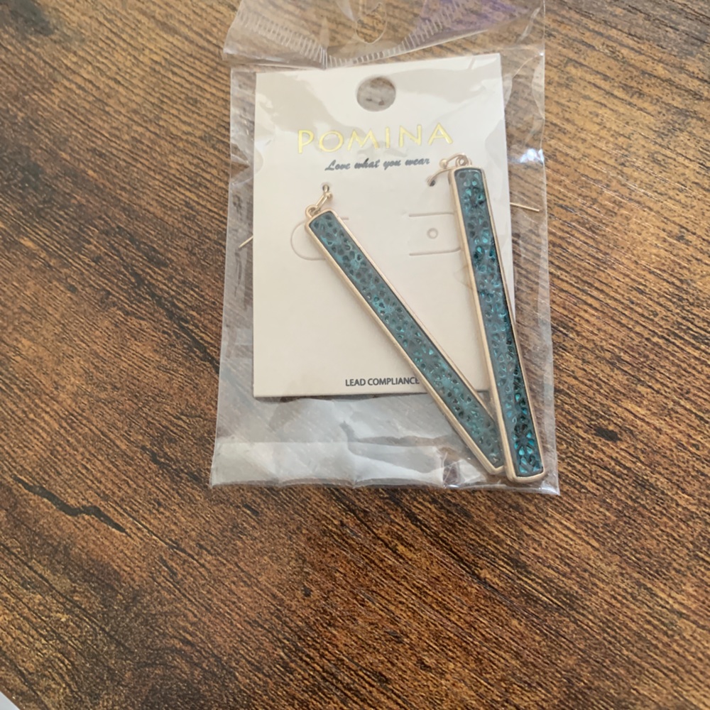 NWT Drop earrings